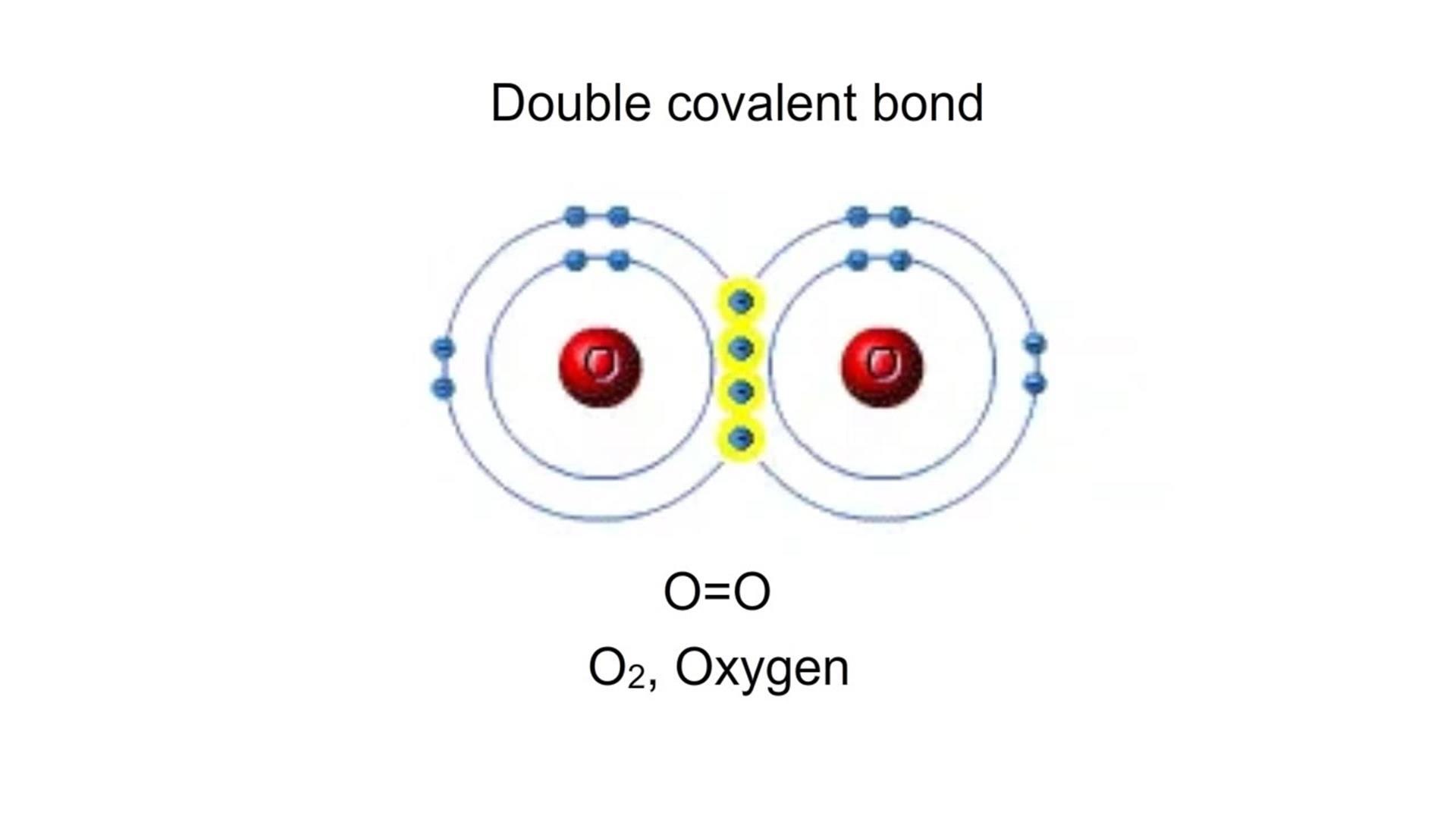 double covalent bond