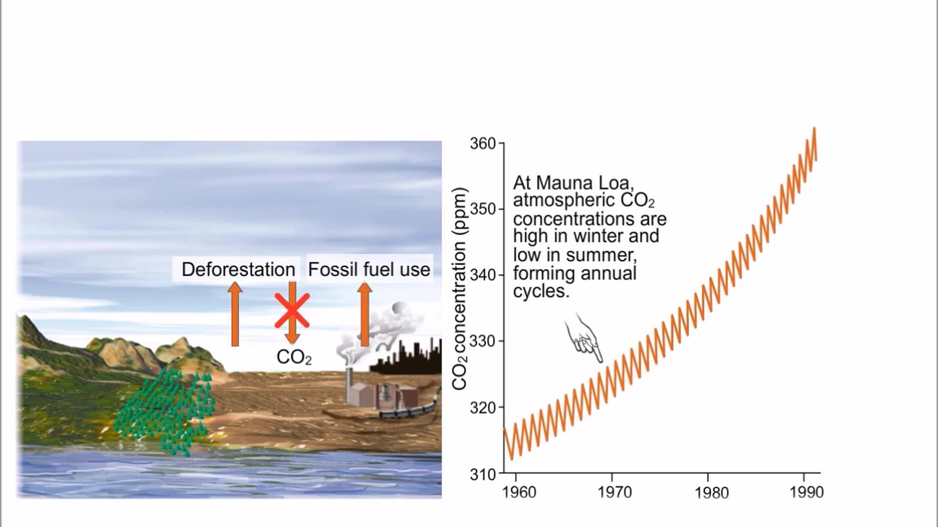 Animation: The Global Carbon Cycle and the Greenhouse Effect | Pearson+  Channels